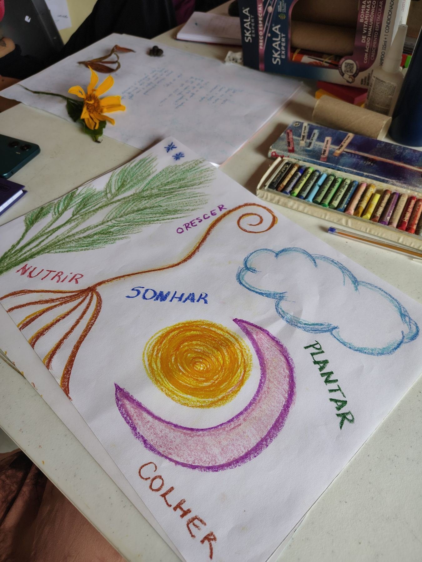 Desenho com sol, lua e as palavras nutrir, sonhar, plantar, crescer e colher